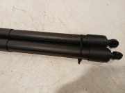 Gasdruckfedern Set Hinten 6891048180 Lexus RX (LA1/LH1) SUV 450h+ E-Four (A25B-FXS) 2023