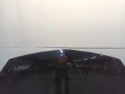 Motorhaube Renault Koleos I SUV 2.5 16V (2TR-700) 2008-07