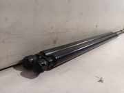 Gasdruckfedern Set Hinten A4209800000 Mercedes-Benz Citan (420.6) Van 1.5 108 CDI (OM608.915(K9K-U8)) 2023-01