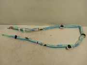 Vorhang Airbag Rechts 80A880742G Audi SQ5 (FYB/FYG) SUV 3.0 TFSI V6 24V (CWGD) 2017-08