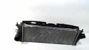 Ladeluftkühler Radiator 8200411160C Opel Vivaro Van 2.5 CDTI DPF (G9U-630) 2010-03