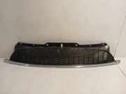 Grill 10627110 Mini Mini (R56) Schrägheck 1.6 16V Cooper S (N14-B16A) 2008-02