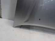 Motorhaube Toyota RAV4 (A2) Geländewagen 2.0 16V VVT-i 4x4 (1AZFE) 2001