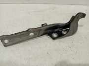 Motorhaubescharnier Links 5N0823301A Volkswagen Tiguan (5N1/2) SUV 1.4 TSI 16V (CZDA) 2016-02 CZDA