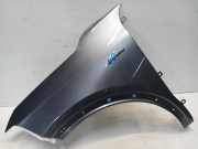 Kotflügel Links Vorne Renault Scenic E-Tech Electric (RCB) SUV EV87 (6AM-40) 2025-06