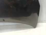 Motorhaube Renault Wind (EN/E4) Cabrio 1.2 16V TCE (D4F-782(D4F-K7)) 2010