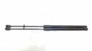 Gasdruckfedern Set Hinten 6R0827550A Volkswagen Polo V (6R) Schrägheck 1.6 TDI 16V 90 (CAYB(Euro 5)) 2011 CAYB(Euro 5)