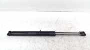 Gasdruckfedern Set Hinten Ford Focus 3 Schrägheck 1.6 TDCi 115 (T1DA) 2014