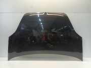 Motorhaube Fiat Doblo Cargo (263) Van 1.3 D Multijet (263.A.2000) 2014