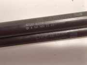 Gasdruckfeder Set Vorne A1669802364 Mercedes-Benz ML III (166) SUV 3.0 ML-350 BlueTEC V6 24V 4-Matic (OM642.826) 2012