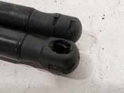 Gasdruckfeder Set Vorne 0173310380N Volvo V60 I (FW/GW) Kombi 2.0 D4 16V (D4204T14) 2015