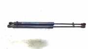 Gasdruckfedern Set Hinten 844308661R Renault Clio IV (5R) Schrägheck 5-drs 1.5 Energy dCi 90 FAP (K9K-B6) 2014