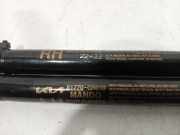 Gasdruckfedern Set Hinten 81770G6010 Kia Picanto (JA) Schrägheck 1.0 12V (G3LD) 2023