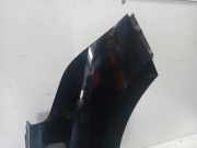 Kotflügel Rechts Vorne Renault Scénic IV (RFAJ) Großraumlimousine 1.2 TCE 130 16V (H5F-408(H5F-F4)) 2017