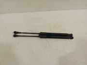 Gasdruckfeder Set Vorne 2990344 BMW X1 (E84) SUV sDrive 18d 2.0 16V (N47-D20C) 2011