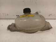 Kühlmittelbehälter 217100015R Opel Movano Van 2.3 CDTi 16V FWD (M9T-880) 2013-04