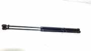 Gasdruckfeder Set Vorne 41619066566 Mini Mini Cooper S (R53) Schrägheck 1.6 16V (W11-B16A) 2003-07