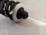 Spiralfeder Links Hinten BMW 3 serie Touring (G21) Kombi 330i 2.0 TwinPower Turbo 16V (B48-B20B) 2019