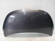 Motorhaube Hyundai i10 (F5) Schrägheck 1.1i 12V (G4HG) 2008-06