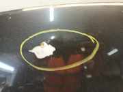 Motorhaube Suzuki Swift (ZA/ZC/ZD1/2/3/9) Schrägheck 1.3 VVT 16V (M13A VVT) 2010