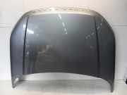 Motorhaube Land + Range Rover Range Rover Evoque (LVJ/LVS) SUV 2.0 Si4 240 16V (204PT(GTDI)) 2012-02