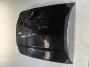 Motorhaube Porsche Panamera (970) Liftback 3.6 V6 24V PDK 4 (M46.40) 2010-05