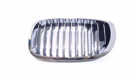 Grill Gitter Links BM070132L BMW 3 serie (E46/4) Limousine 316i 16V (N46-B18A) 2000 Bild Grill Gitter Links BM070132L BMW 3 serie (E46/4) Limousine 316i 16V (N46-B18A) 2000