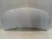 Motorhaube Renault Twingo II (CN) Schrägheck 3-drs 1.2 16V (D4F-772(D4F-J7)) 2008