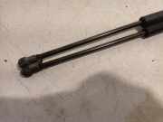 Gasdruckfedern Set Hinten Fiat Punto Evo (199) Schrägheck 1.3 JTD Multijet 85 16V (199.B.4000(Euro 5)) 2012-06