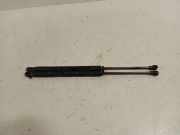 Gasdruckfedern Set Hinten 00518416340 Fiat Panda (312) Schrägheck 1.2 69 (169.A.4000(Euro 5)) 2016
