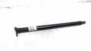Gelenkwelle 7556019 BMW X6 (E71/E72) SUV xDrive30d 3.0 24V (M57N2-D30(306D3)) 2010-03