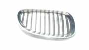 Grill Gitter Rechts BMW 5 serie Touring (E61) Kombi 520d 16V (M47-D20(204D4)) 2006-02