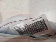 Vorhang Airbag Rechts 1041707YZ Seat Ateca (5FPX) SUV 1.5 TSI 16V (DPCA) 2020-01