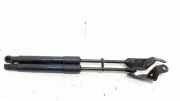Gasdruckfeder Set Vorne 51327200197 BMW 5 serie Gran Turismo (F07) Schrägheck 530d 24V (N57-D30A) 2009-10