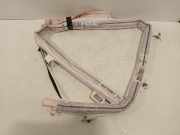 Vorhang Airbag Links 0589P1000118 Renault Scenic E-Tech Electric (RCB) SUV EV87 (6AM-40) 2025-06