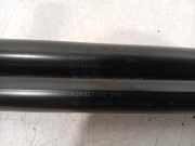 Gasdruckfedern Set Hinten 5G982755004S Volkswagen Golf VII Variant (AUVV) Kombi 1.6 TDI 16V (CLHA) 2015 CLHA