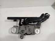 Motorhaubescharnier Links 139896 BMW 3 serie (F30) Limousine 330e (B48-B20A) 2016-05