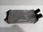 Ladeluftkühler Radiator 9824742280 Peugeot 208 II (UB/UH/UP) Schrägheck 5-drs 1.2 Vti 12V PureTech 130 (EB2ADTS(HNS)) 2022