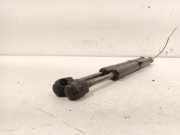 Gasdruckfedern Set Hinten 4F5827552B Audi S6 (C6) Limousine 5.2 V10 40V (BXA) 2006