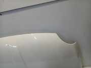 Motorhaube Fiat 500C (312) Cabrio 1.0 Hybrid (46341162) 2020