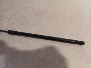 Gasdruckfeder VOOR 5NA823359A Volkswagen Tiguan (AD1) SUV 2.0 TSI 16V 4Motion (CZPA) 2017 CZPA