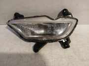 Nebelscheinwerfer Rechts 92202C8100 Hyundai i20 (GBB) Schrägheck 1.0 T-GDI 100 12V (G3LC) 2018-02