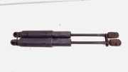 Gasdruckfeder Set Vorne Mercedes-Benz S (W221) Limousine 3.0 S-320 CDI 24V (OM642.930) 2006-09