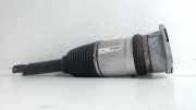 Federbein Links Hinten Audi A8 (D3) Limousine 4.2 V8 40V Quattro (BFM) 2003-01