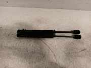 Gasdruckfeder Set Vorne 7419387 BMW 3 serie (G20) Limousine 330e xDrive 2.0 TwinPower Turbo 16V (B48-B20A) 2019