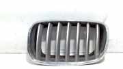 Grill Gitter Links 51137171396 BMW X5 (E70) SUV xDrive 30d 3.0 24V (M57N2-D30(306D3)) 2009-06