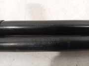 Gasdruckfeder Set Vorne 654704597R Renault Grand Scénic IV (RFAR) Großraumlimousine 1.2 TCE 130 16V (H5F-408(H5F-F4)) 2017