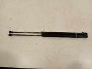 Gasdruckfedern Set Hinten Volkswagen Golf VIII (CD1) Schrägheck 2.0 TSI 16V 4Motion R (DNFF) 2023 DNFF