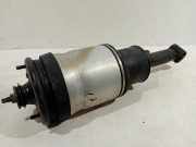 Federbein Links Hinten RPD501040 Land + Range Rover Range Rover Sport (LS) Geländewagen 3.6 TDV8 32V (368DT(LION)) 2007