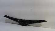 Grill Hyundai i20 Schrägheck 1.4 CRDi 16V (D4FC) 2012-10